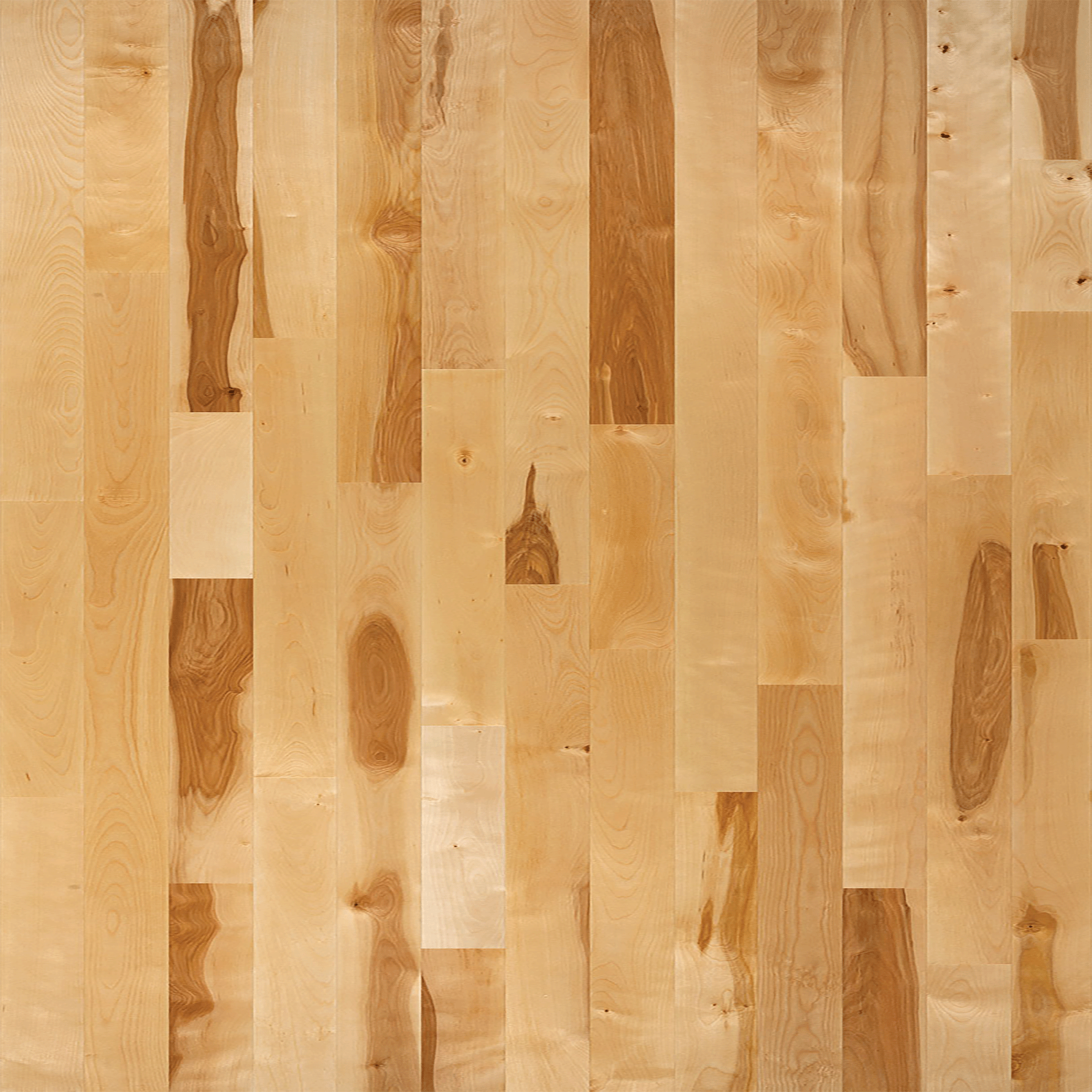 Birch Hardwood flooring Offered by Aladdin Carpet and Floors