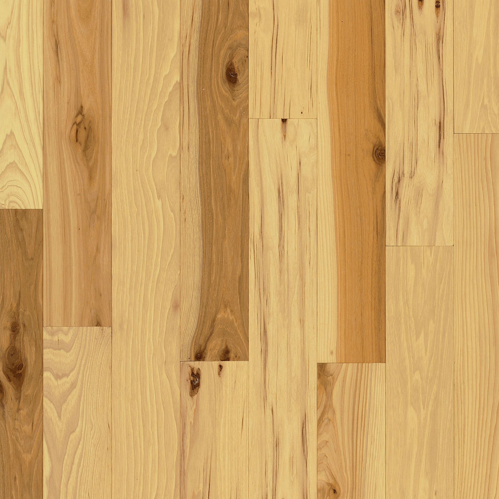 Hickory Hardwood flooring Offered by Aladdin Carpet and Floors