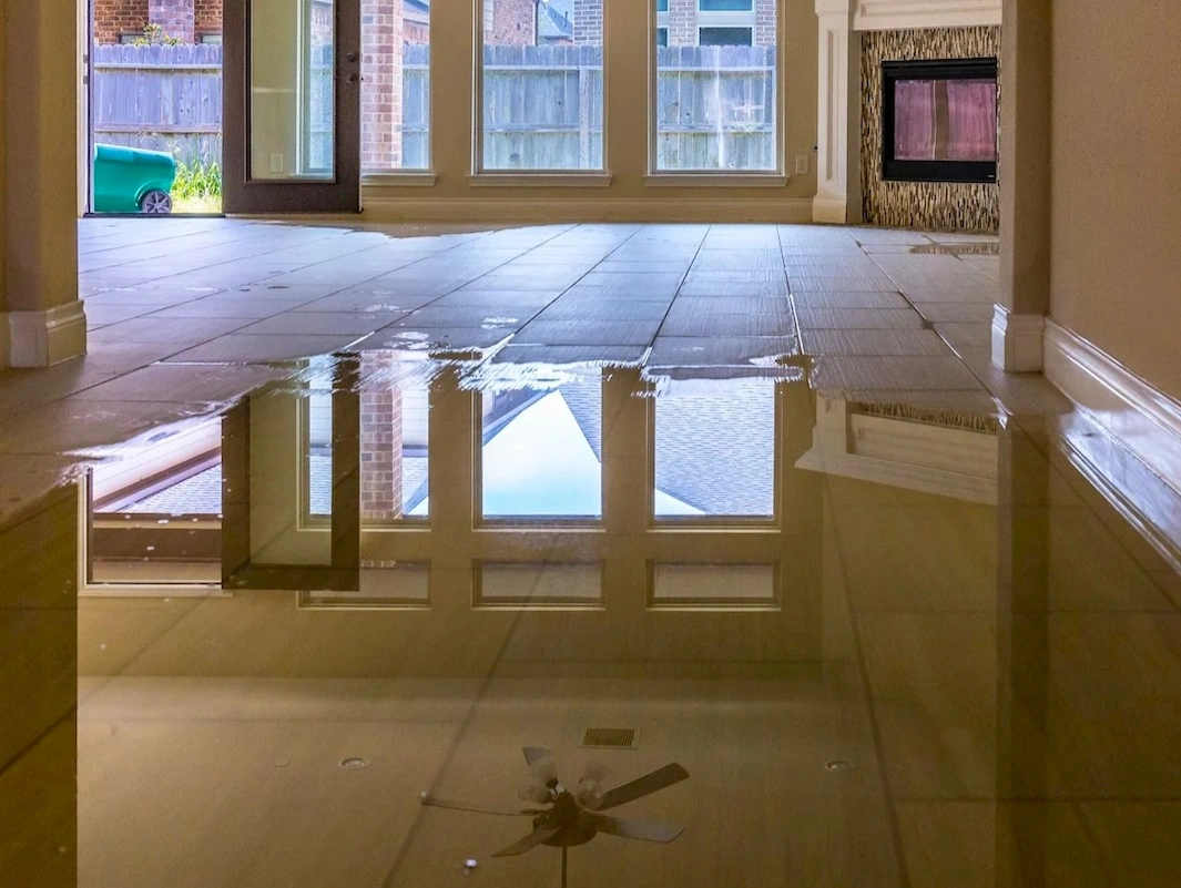 Water Damage Restoration by Aladdin Carpet & floors