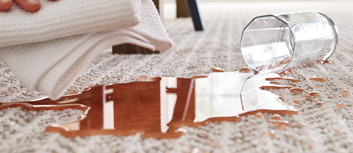 carpet care spot cleaning