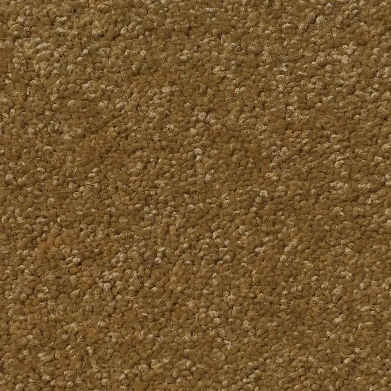 Dixie Home Menton Prairie Nylon Carpet