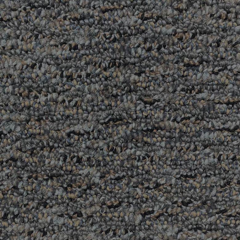 Shaw Floors Speek Addre Synthetic Yarn Carpet