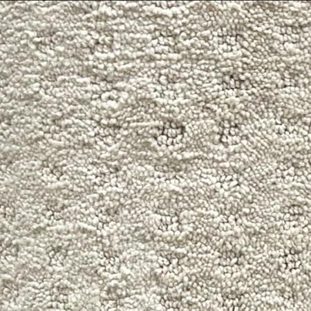 Shaw Floors Glenwillow Beige 12x27 feet Nylon Carpet Remnant