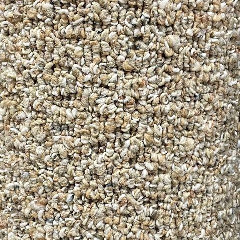Shaw Floors Purewater Gold 12x8 feet Olefin Carpet Remnant