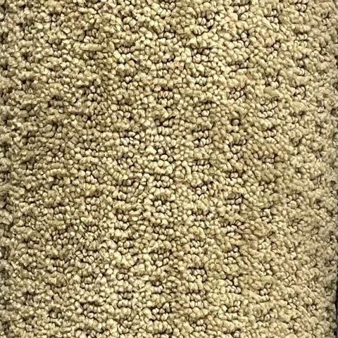 Karastan Cliveden Parklawn 12x5 feet Premium Nylon Carpet Remnant