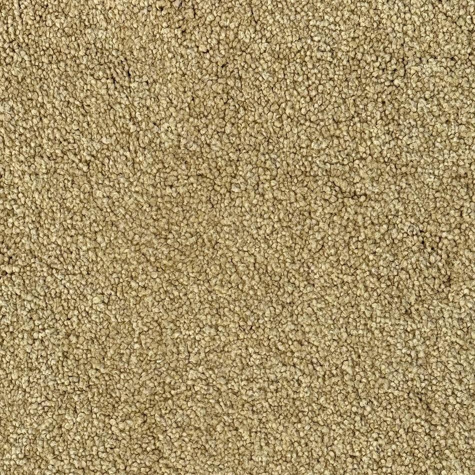 Masland Wyndemere Saffron Nylon Carpet