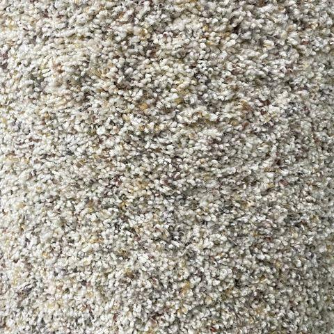 Dixie Home Grand Tradition Collingwood 12x29 feet Nylon Carpet Remnant