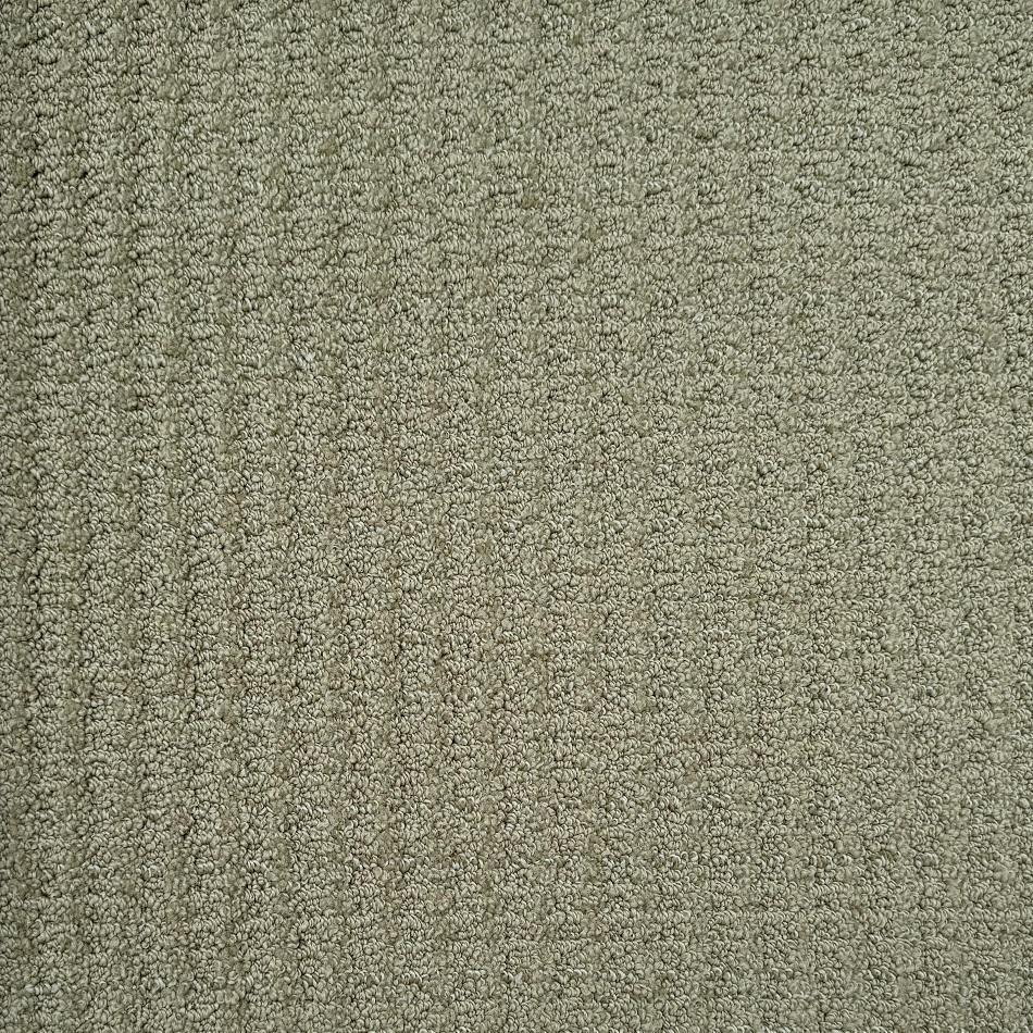 Dixie Home Arbor Crest Spring Nylon Carpet