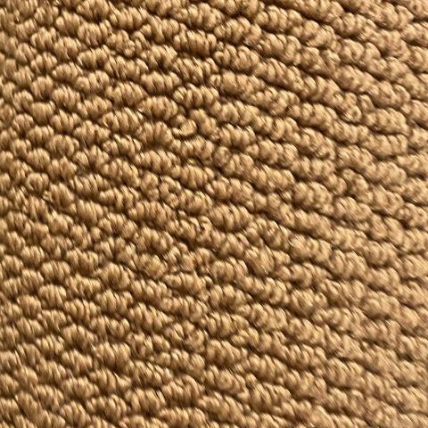 Dixie Home North Oaks Beach 12x10 feet Olefin Carpet Remnant