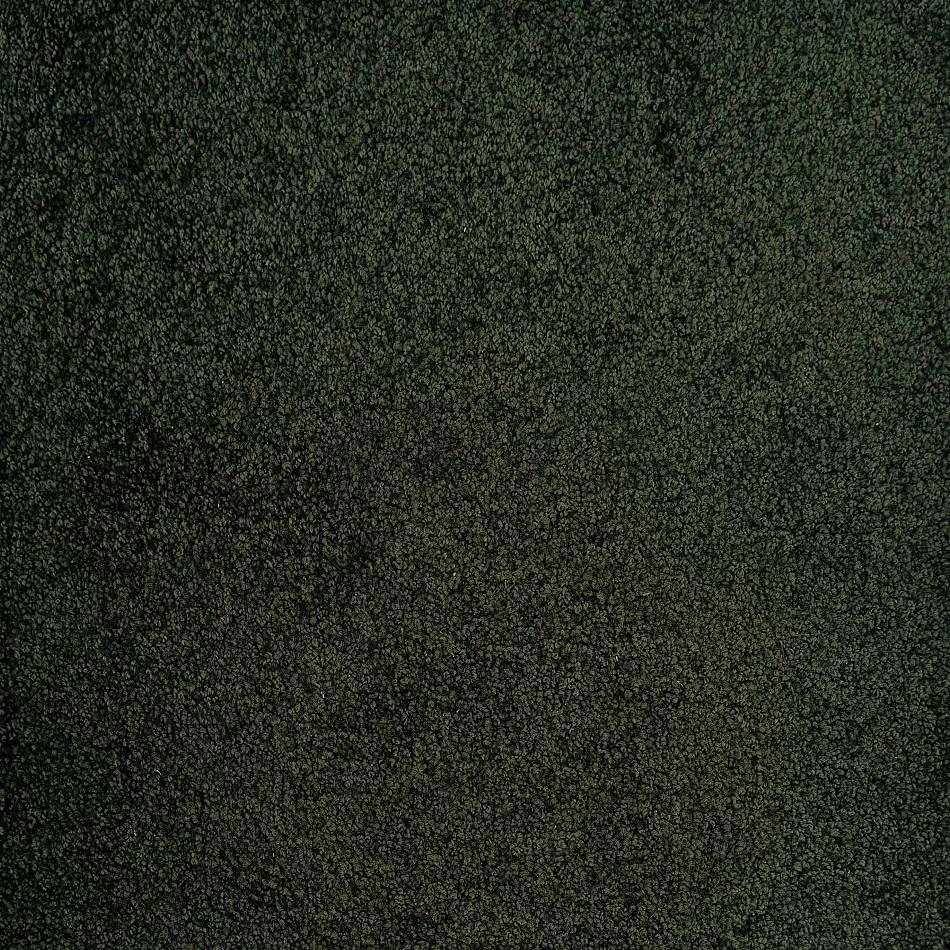 Dixie Home Furlong Olive Nylon Carpet