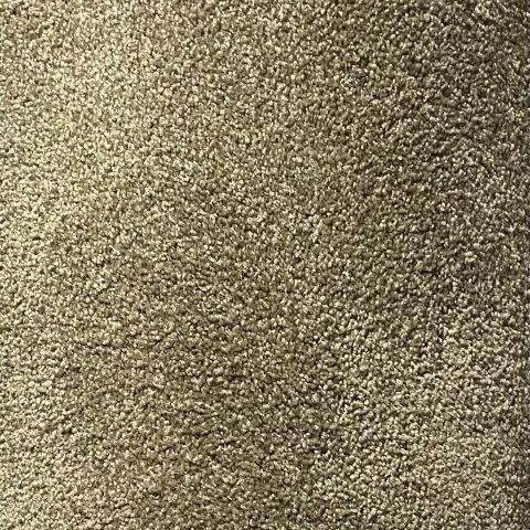 Dixie Home Menton Jefferson 12x41 feet Nylon Carpet Remnant