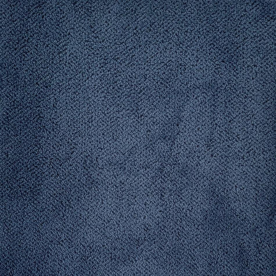 Dixie Home Bryan Park Marina Nylon Carpet