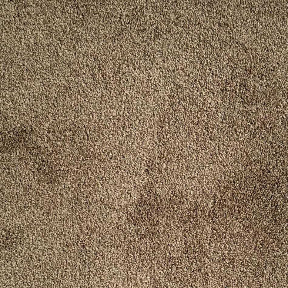 Shaw Floors Cavalier II Brown Premium Nylon Carpet