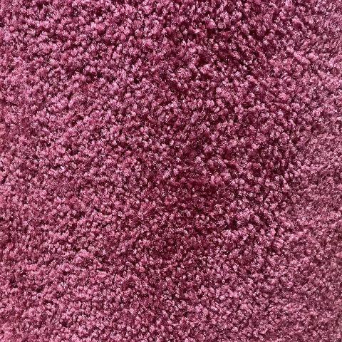 Shaw Floors Cavalier II  12x10 feet Premium Nylon Carpet Remnant