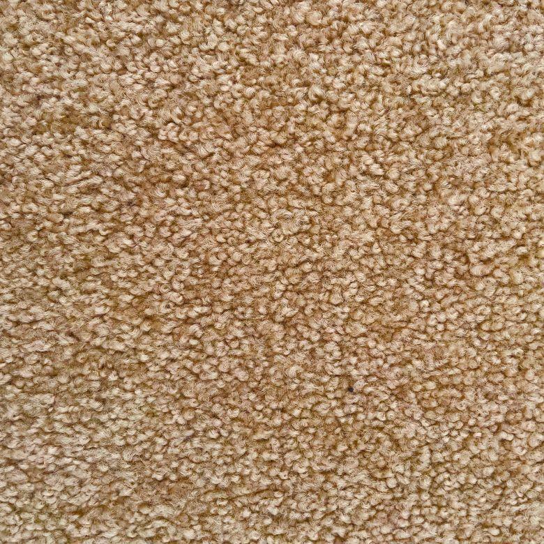 Dixie Home Bonterra Biscotti Nylon Carpet