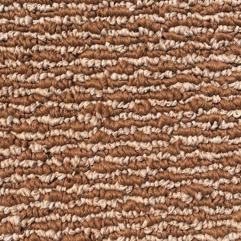 Shaw Floors Ashford Brown OIefin Carpet