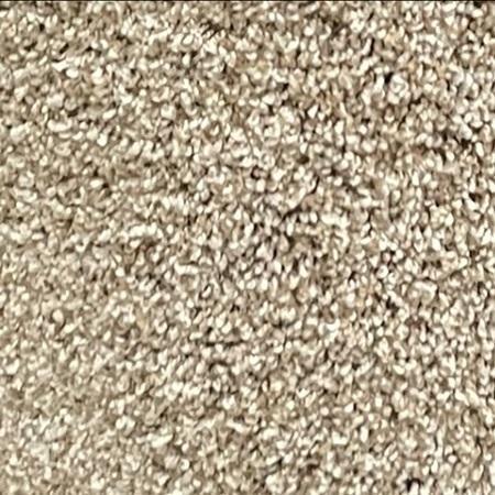Dixie Home Maximum Effect Havana Tan 12x30 feet Nylon Carpet Remnant