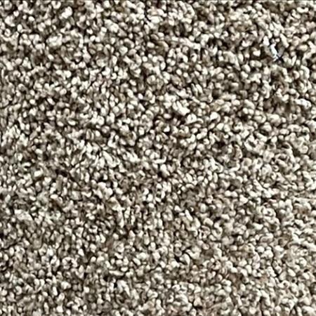 Dixie Home Maximum Effect Havana Tan 12x28 feet Nylon Carpet Remnant