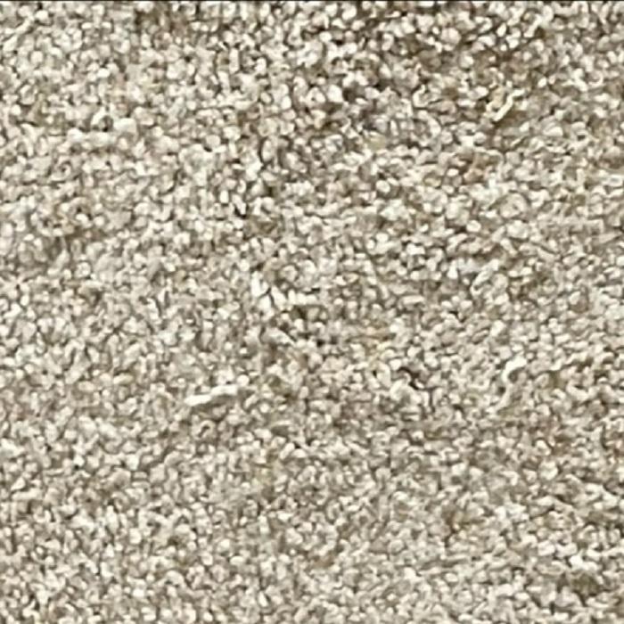 Dixie Home Maximum Effect Delano 12x28 feet Polyester Carpet Remnant