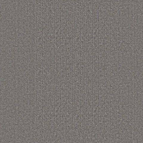 Shaw Floors Secret Passage Gray 12x9 feet Premium Nylon Carpet Remnant