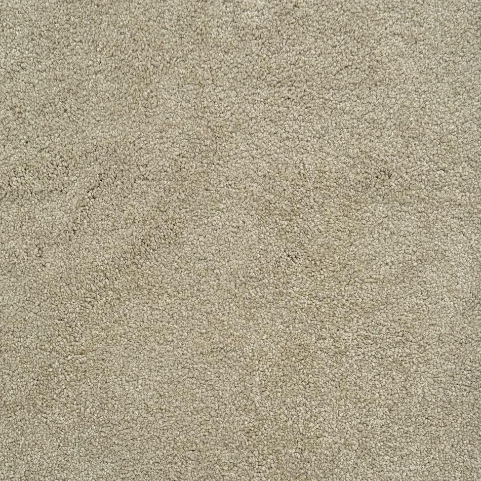 Dixie Home Fortune Rich Nylon Carpet
