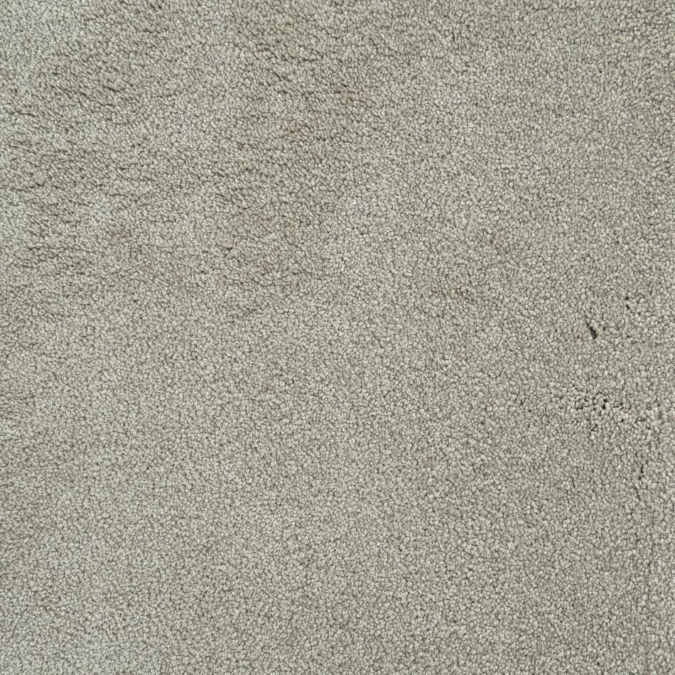 Dixie Home Enchanted Dapper 12x7 feet Premium Nylon Carpet Remnant