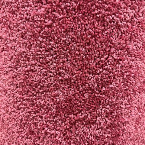 Shaw Floors Newbern Classic Sassy 12x14 feet Polyester Carpet Remnant