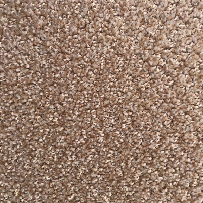 Dixie Home Shafer Point Dunmo Nylon Carpet