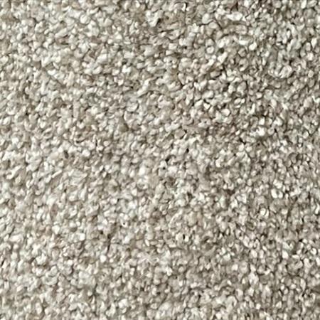 Dixie Home Caress Imagi 12x33 feet Nylon Carpet Remnant