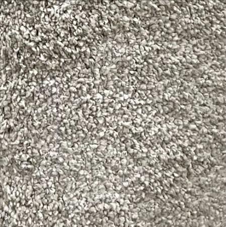 Dixie Home Caress Devot 12x18 feet Nylon Carpet Remnant