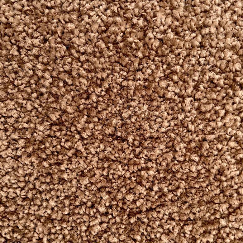 Dixie Home Caress Brush Nylon Carpet
