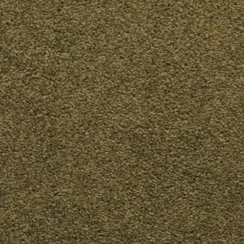 Dixie Home Caress Tropical 12x29 feet Nylon Carpet Remnant