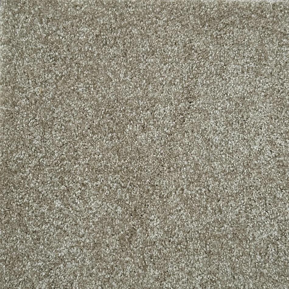 Shaw Floors Jet Set Brown Polyester Carpet
