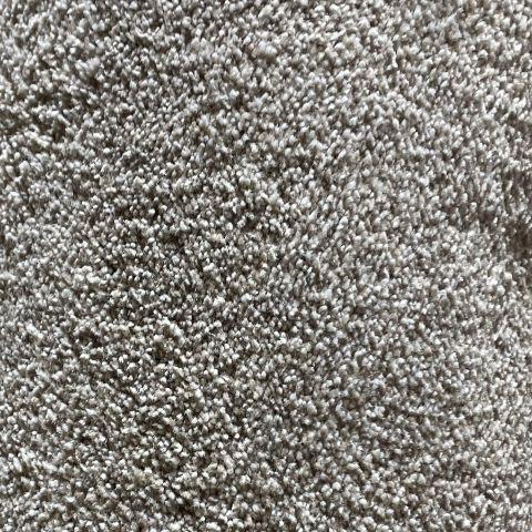 Dixie Home Shafer Zumba 12x10 feet Nylon Carpet Remnant