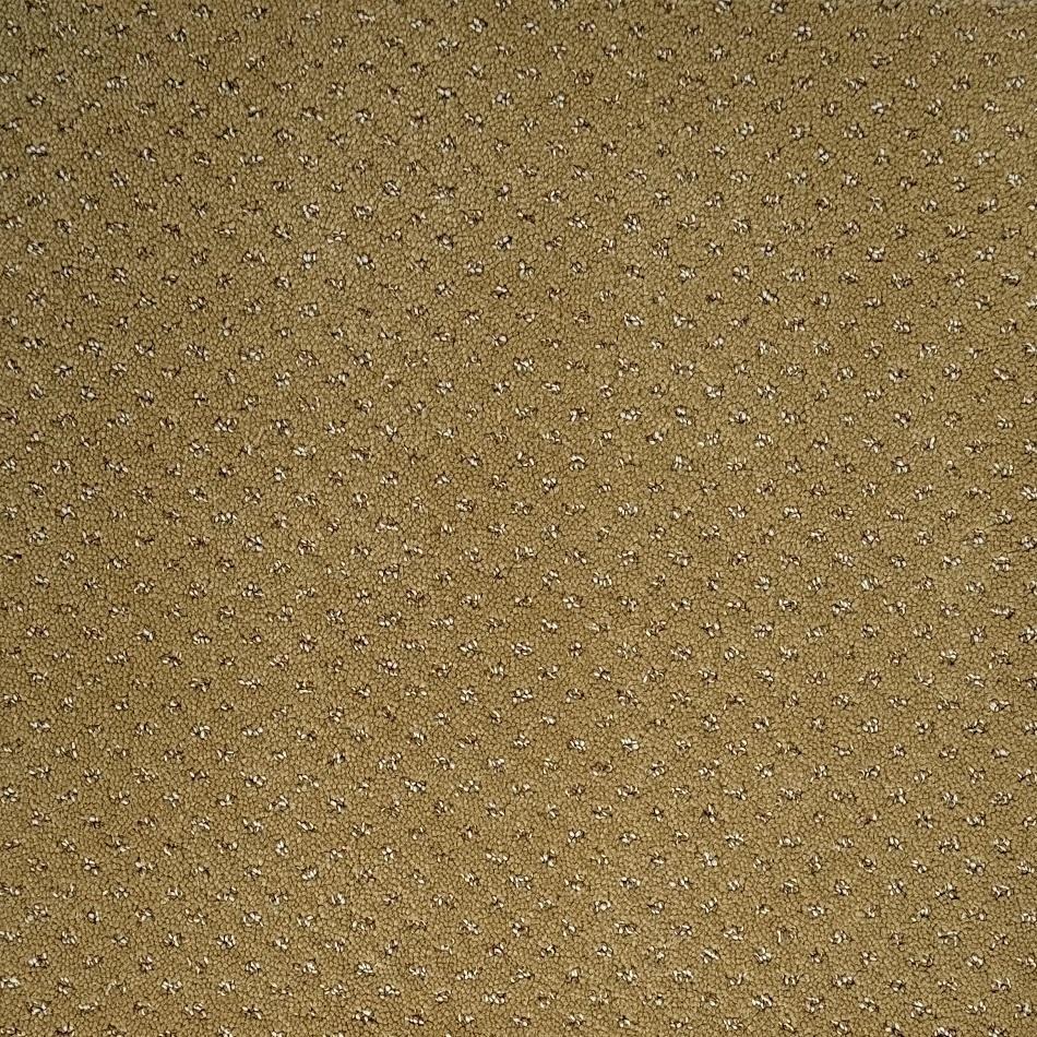 Dixie Home Trade Winds Starling Nylon Carpet