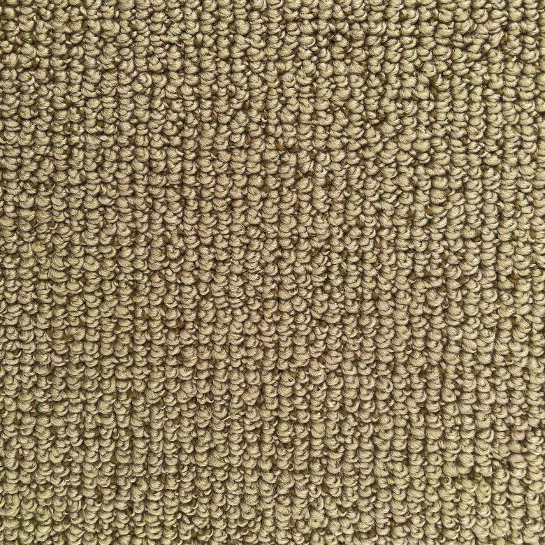 Dixie Home Montego Palmeto Nylon Carpet