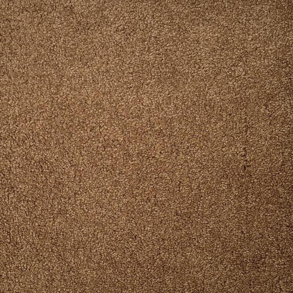 Dixie Home Mica Custom Nylon Carpet
