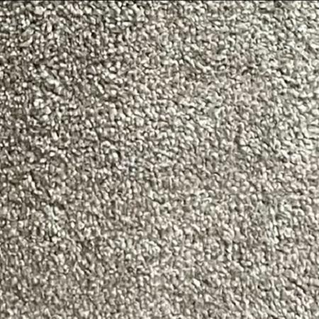 Dixie Home Fortune Rockport 12x30 feet Nylon Carpet Remnant