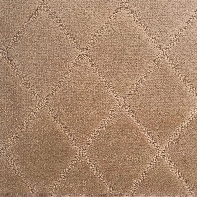 Dixie Home Elan Blushing Nylon Carpet