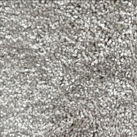 Shaw Floors Cabana Life Dolphin 12x29 feet Polyester Carpet Remnant