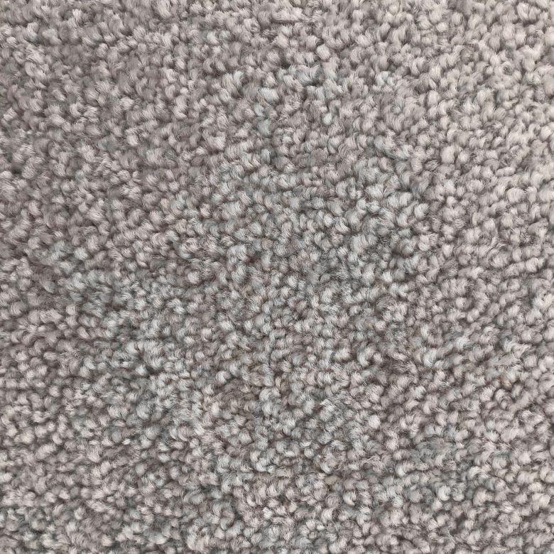 Shaw Floors Purebred Grey Nylon Carpet