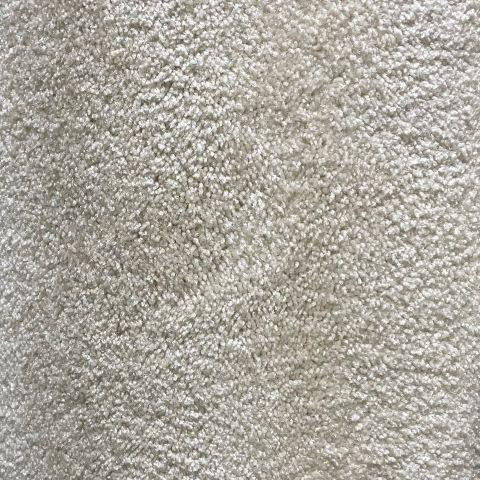 Shaw Floors Cavalier I French 12x14 feet Nylon Carpet Remnant