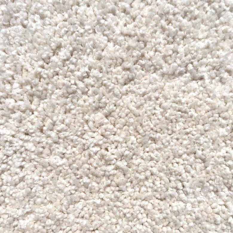 Dixie Home Alluring Desert Nylon Carpet