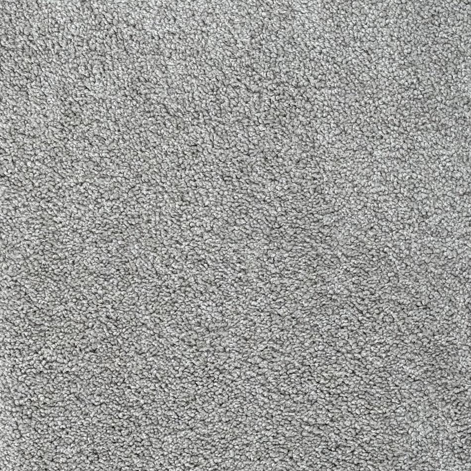 Dixie Home Alluring Driftwood Nylon Carpet