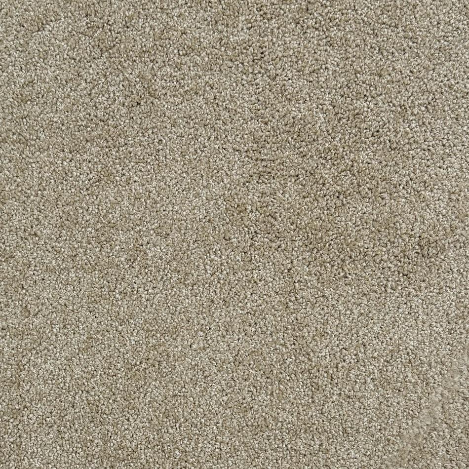 Dixie Home Alluring Rawhide Nylon Carpet