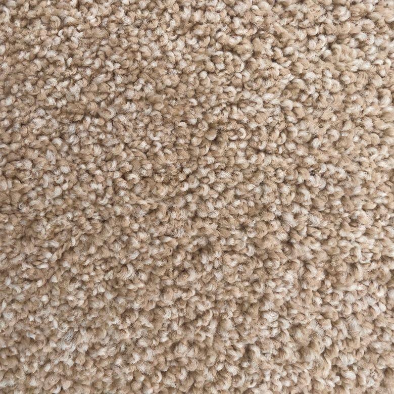 Dixie Home Alluring Suede Nylon Carpet