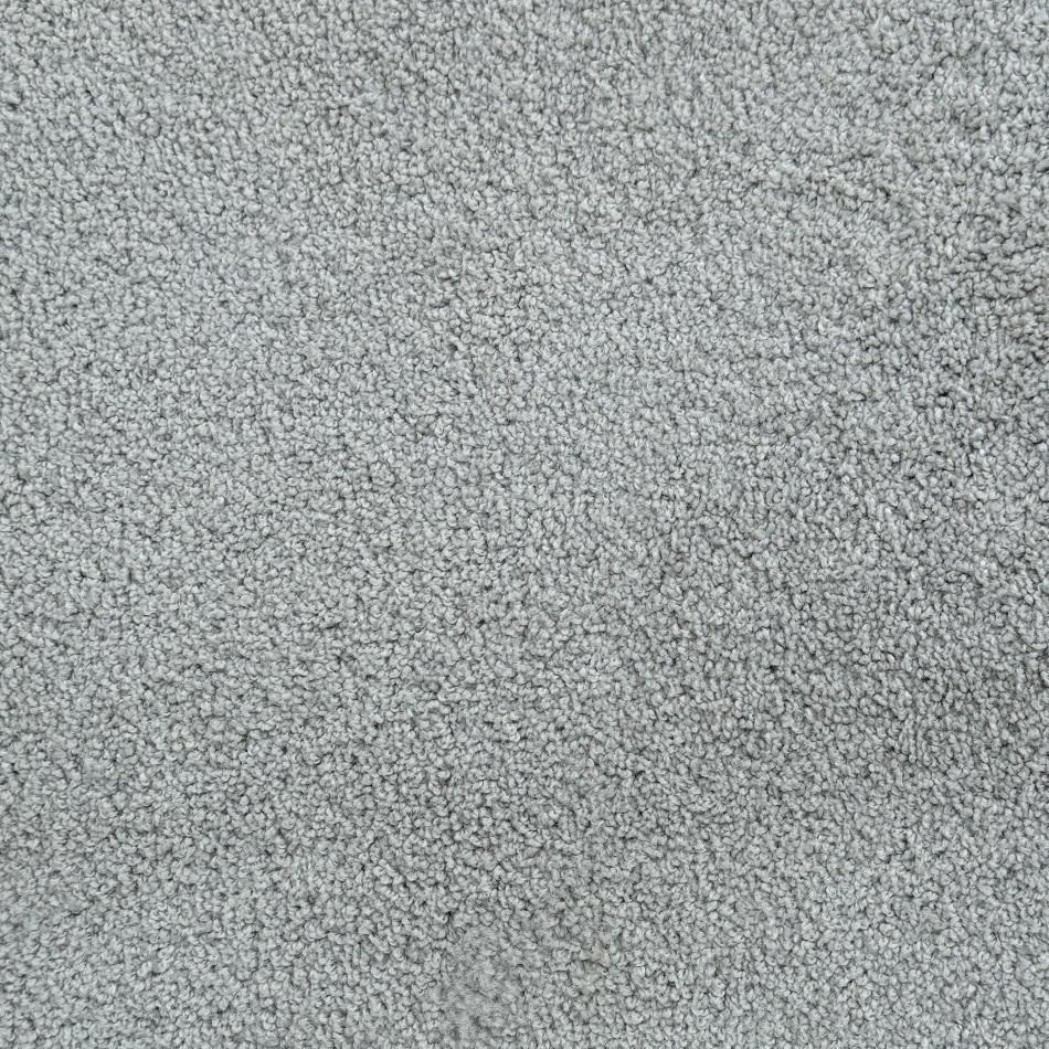 Dixie Home Alurring Summer Nylon Carpet