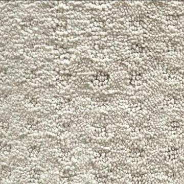 Shaw Industries Glenwillow Beige 12x27 feet Nylon Carpet Remnant