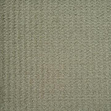 Dixie Home Arbor Crest Spring Nylon Carpet