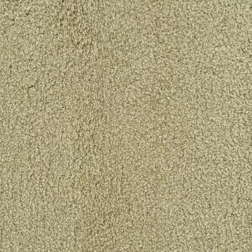 Dixie Home Corsica Kansas Nylon Carpet